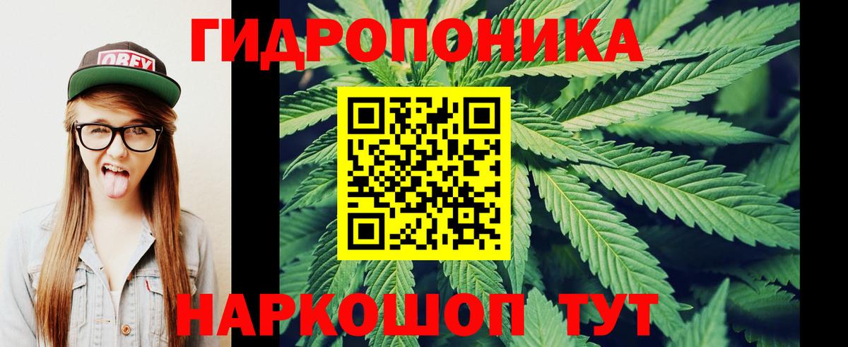 Марихуана тримм  МАРИХУАНА сатива  Каннабис сатива  Вход с VPN  Людиново 